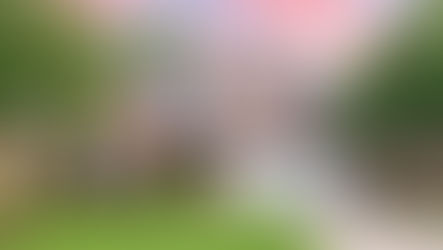 Early-Season House Washing, Roof Washing & Pressure Washing in Roanoke, VA