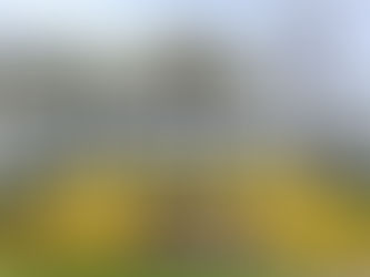 Pressure Washing & Soft Washing in Smith Mountain Lake, VA: The Complete Guide to Protecting Your Home