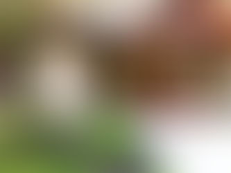 Professional Pressure Washing in Roanoke, VA: House, Roof & Concrete Cleaning