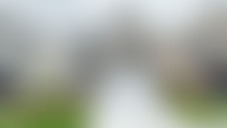 House Wash Pressure Washing Soft Wash and Gutter Cleaning