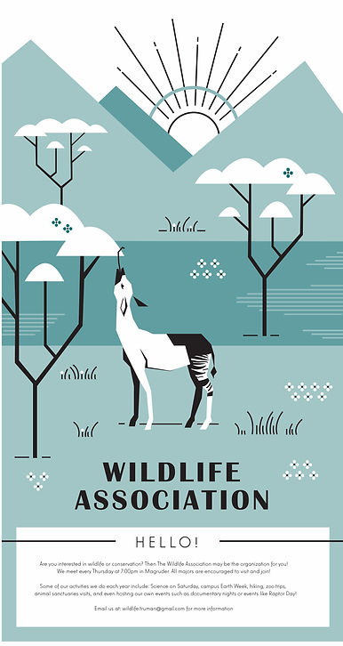 WildlifePoster1.jpg