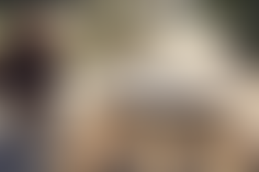 In Pictures: The Perfect Accessible Holiday Cottage Garden