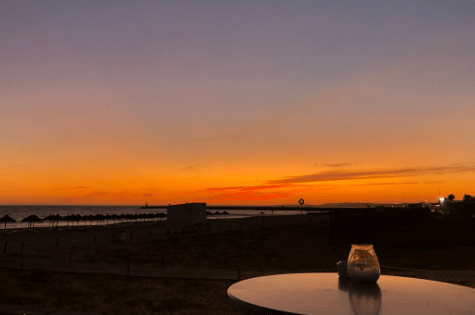 2019: A Year in the Life of a Disabled Travel Blogger