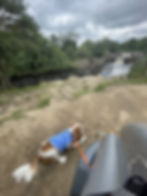 Carrie-Ann and her dog Poppy from the back looking at the Low Force waterfall