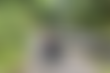 Disabled Access in Callander, Scotland and beyond: A travel guide for wheelchair users 