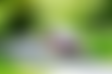 Aids to Make Accessible Travel Easier