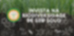 ICB_03.jpg