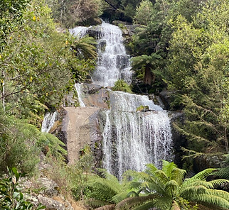 Fainter Falls feeds into the East Kiewa River that runs alongside Plentiwater Artesian Mineral Water farm