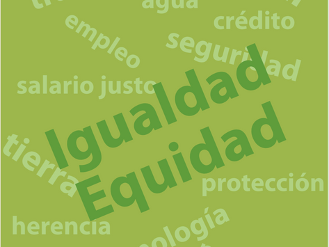 Frontera Ecuador - Colombia una Vida sin Violencia para las Mujeres y Niñas productoras