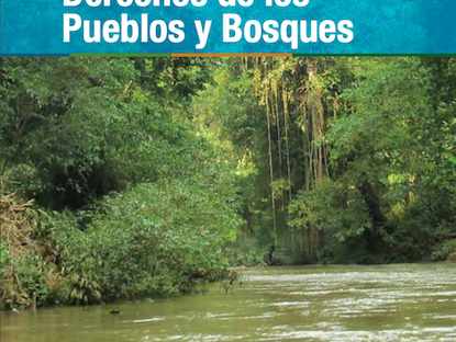 “Cambio Climático, Derechos de los Pueblos y Bosques”