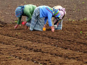 El empoderamiento de las mujeres rurales es crucial para poner fin al hambre y la pobreza