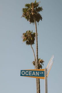 Palm trees in front of a street sign named Ocean LN