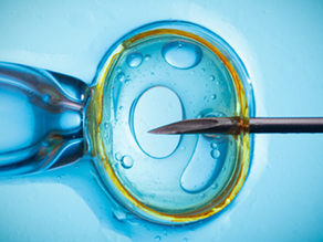 Reprodução Assistida: Como o Geneticista pode auxiliar nesses casos?