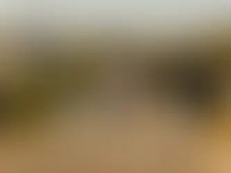 Viver mais ou viver melhor? O que a genética pode ensinar sobre longevidade e saúde