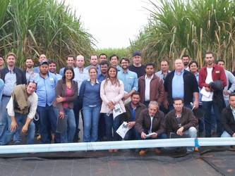 Associados ORPLANA participam de dia de campo em Itápolis-SP