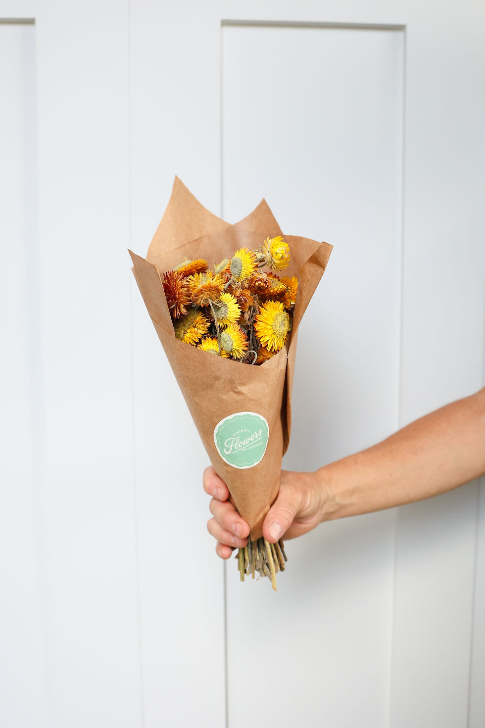 Thumbnail: Strawflower Bundle - Yellow