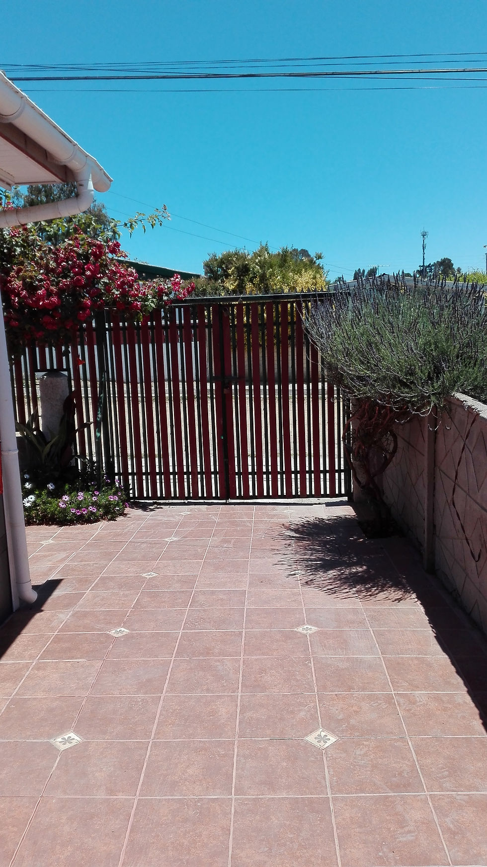 Entrada de Auto
