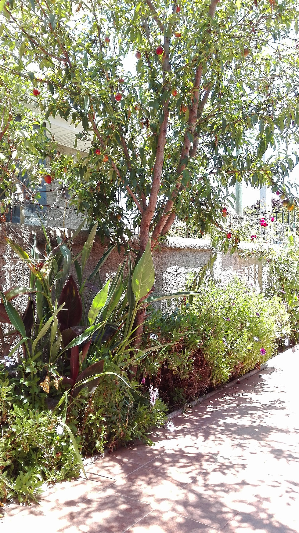 Jardín