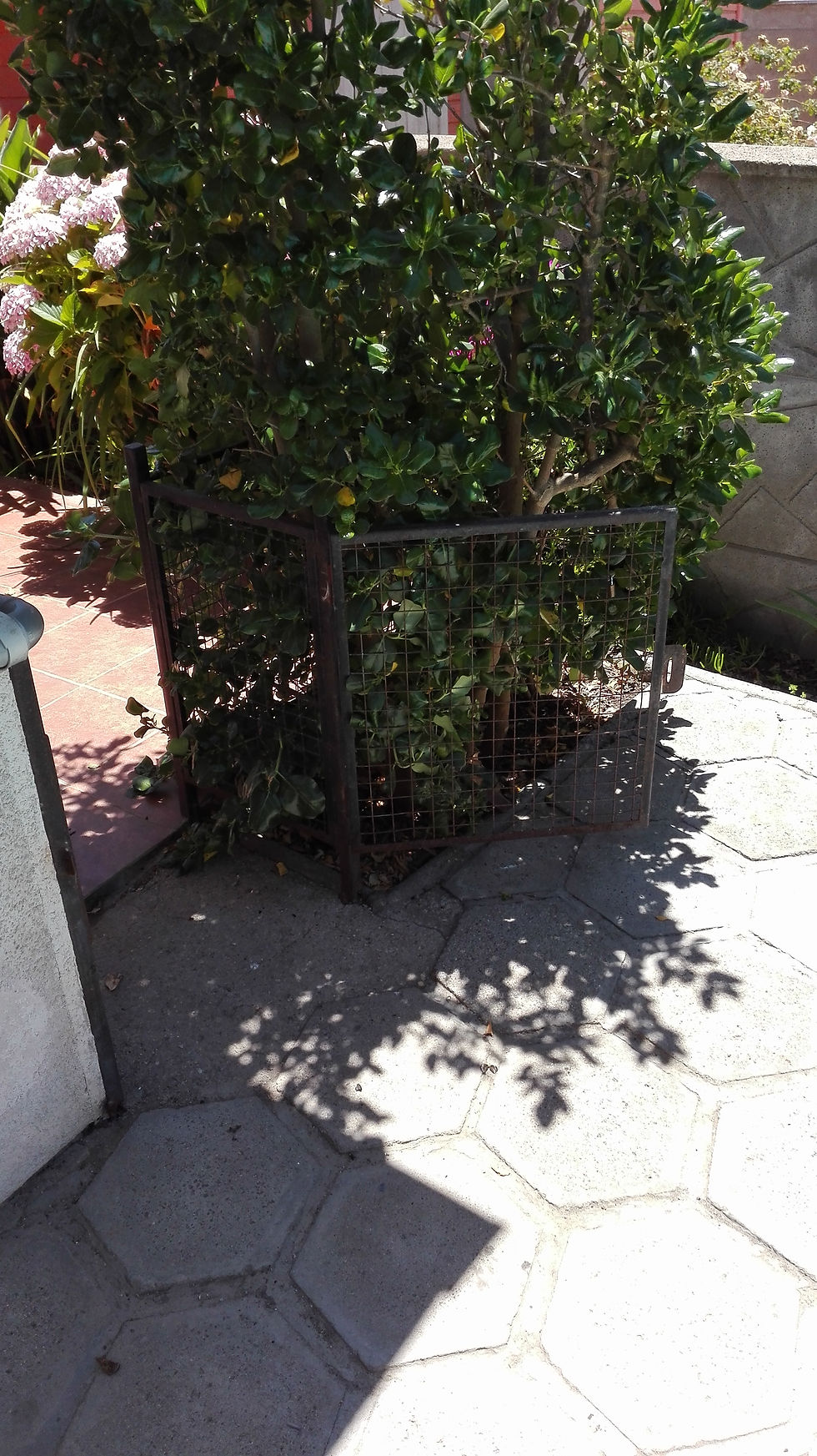 Jardín
