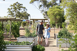Dumbleyung Community Garden