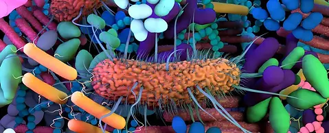 the-human-microbiome-genetic-material-of-all-the-microbes-that-live-on-and-inside-the-huma
