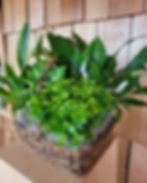 Plant Basket