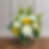 White with Yellow Rose