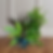 Plant Basket