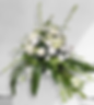 pixelcut-export-1728577042825.png