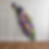 Asymmetric Standing Spray with Custom MN Vikings Add