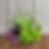Plant Basket
