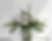 pixelcut-export-1728576854380.png