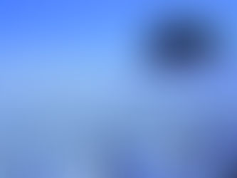 *** En el jardín de las Delicias ***