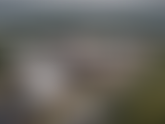 Unveiling Charlotte Management's Prestigious Property Portfolio