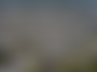 Invest Wisely: Charlotte Management Offers Diverse Property Portfolio