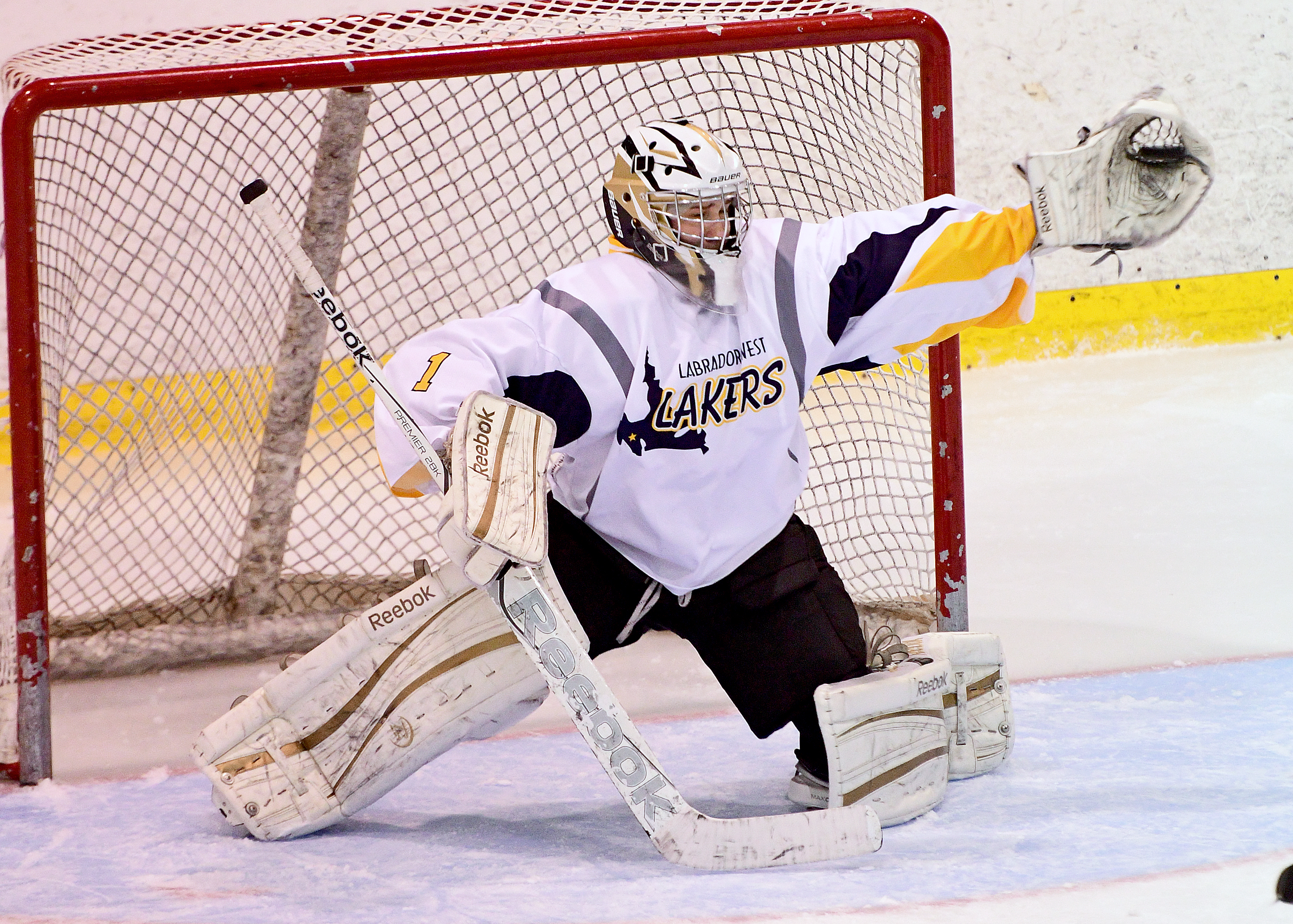 Great Glove Save