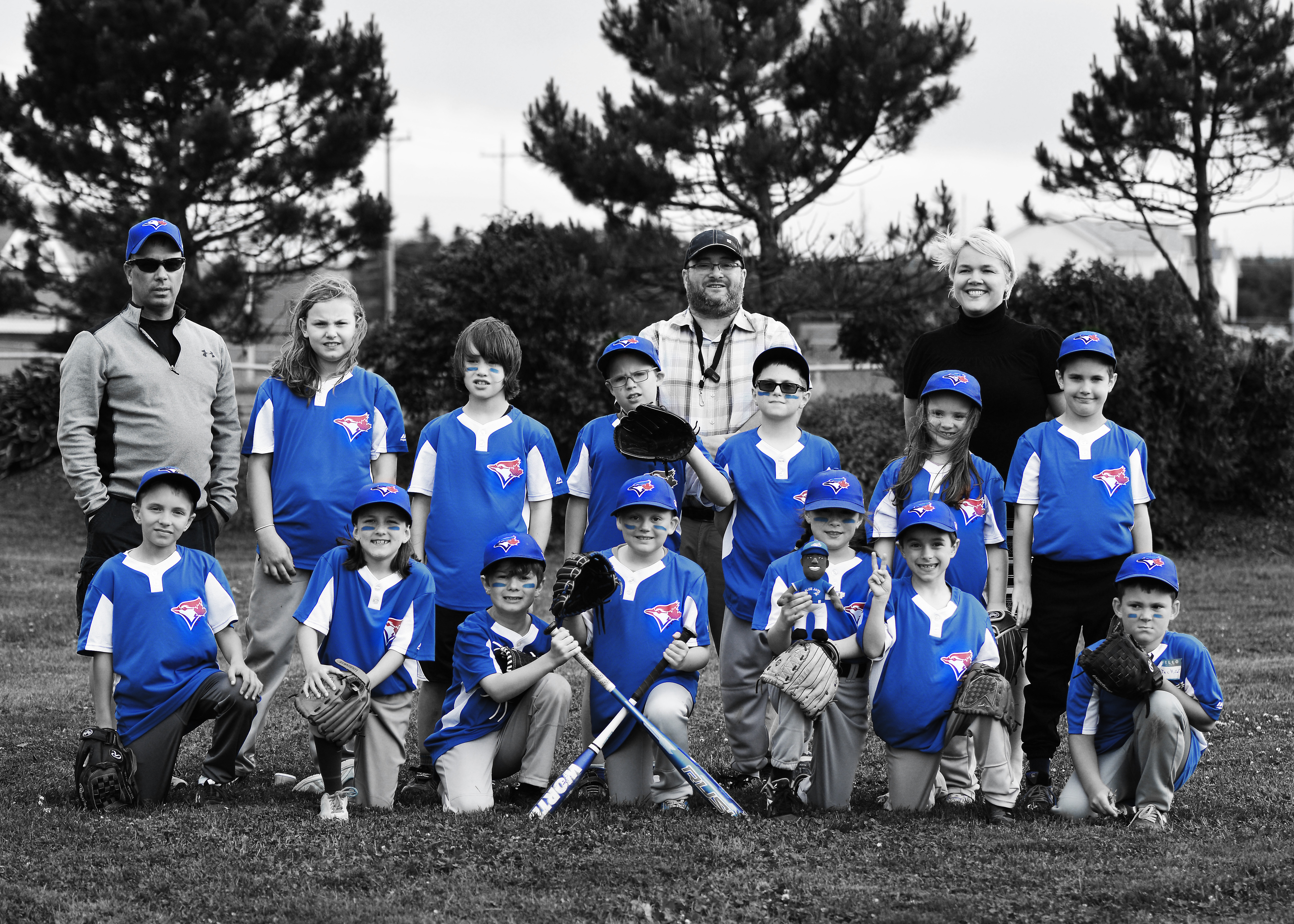 Lets go Blue Jays