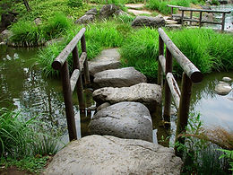 Individual Counseling