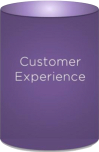 Insight Now Customer Experience