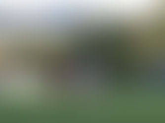 Girls Soccer Postseason: A Huge Success for Soccer at CHS 