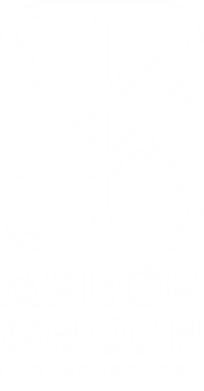 Arbor Group Logo