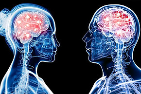 male-female brain injury.jpeg