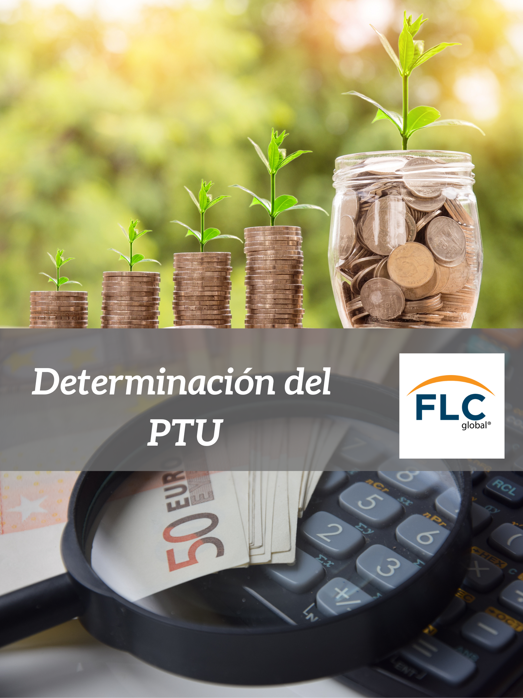 Determinación de la PTU