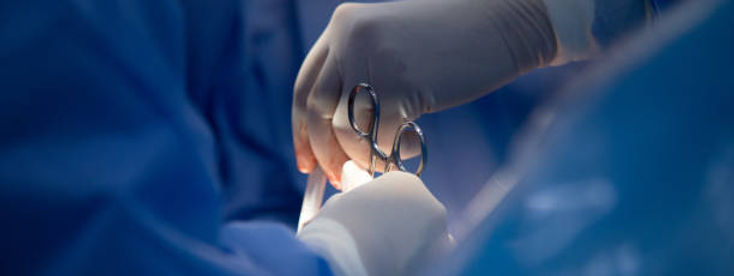 istockphoto-1248264356-612x612_edited.jpg