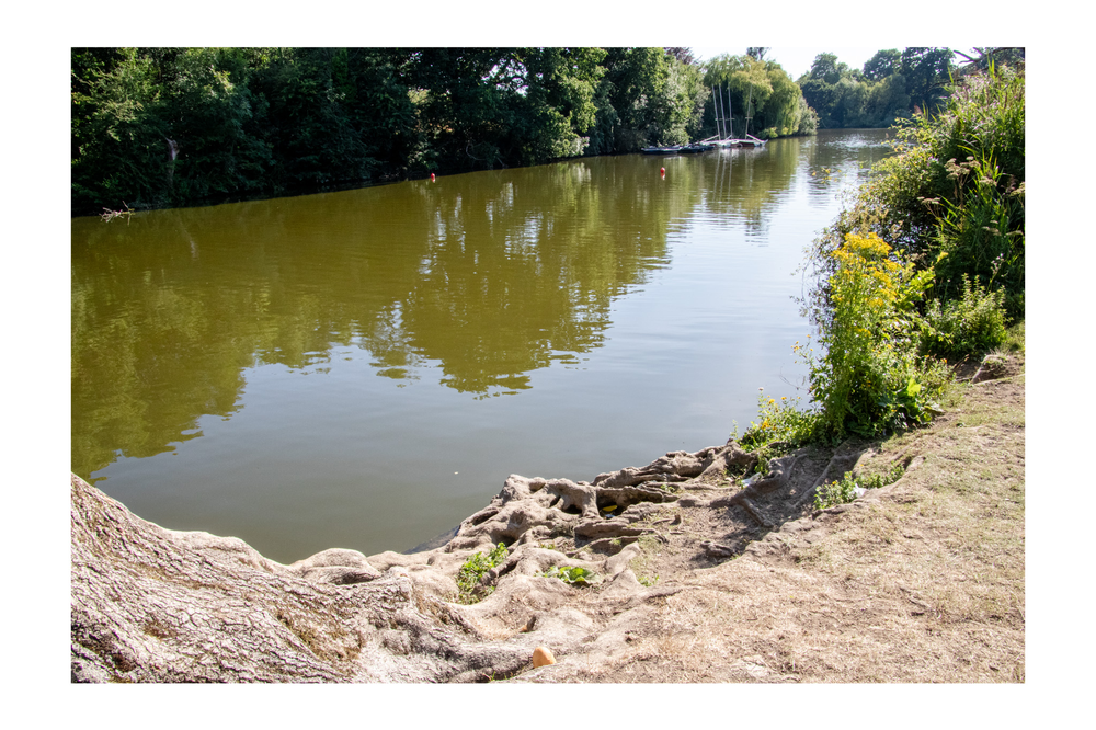 The Bermuda Triangle of Photography, Or: The Three Things That Made Me Want to Throw My Camera in the River.