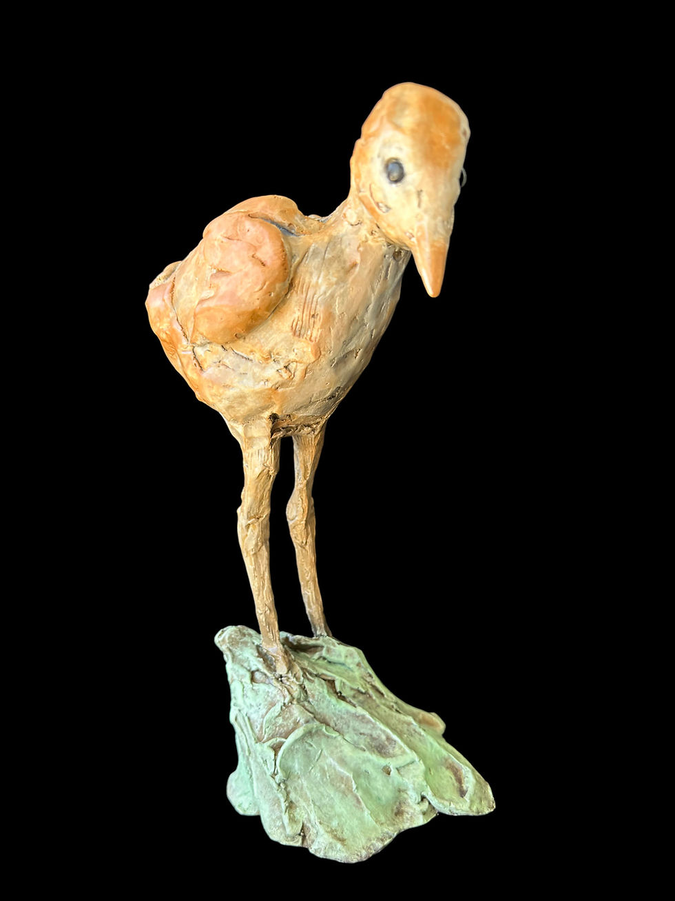 "Sandhill Chick Looking Down"