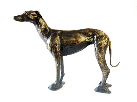 "Italian Greyhound"