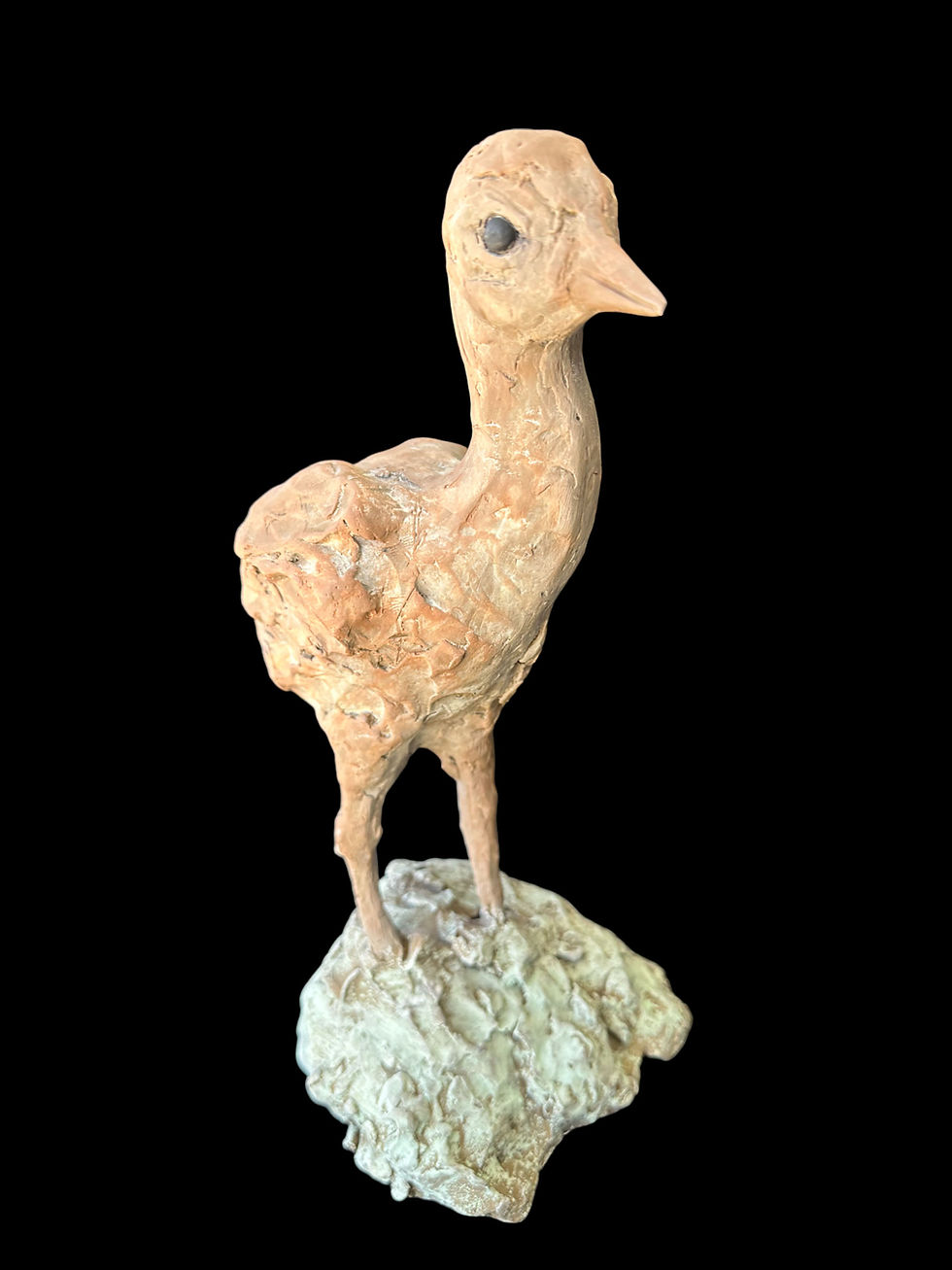 "Sandhill Chick Looking Up"