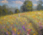 "Field of Dreams"