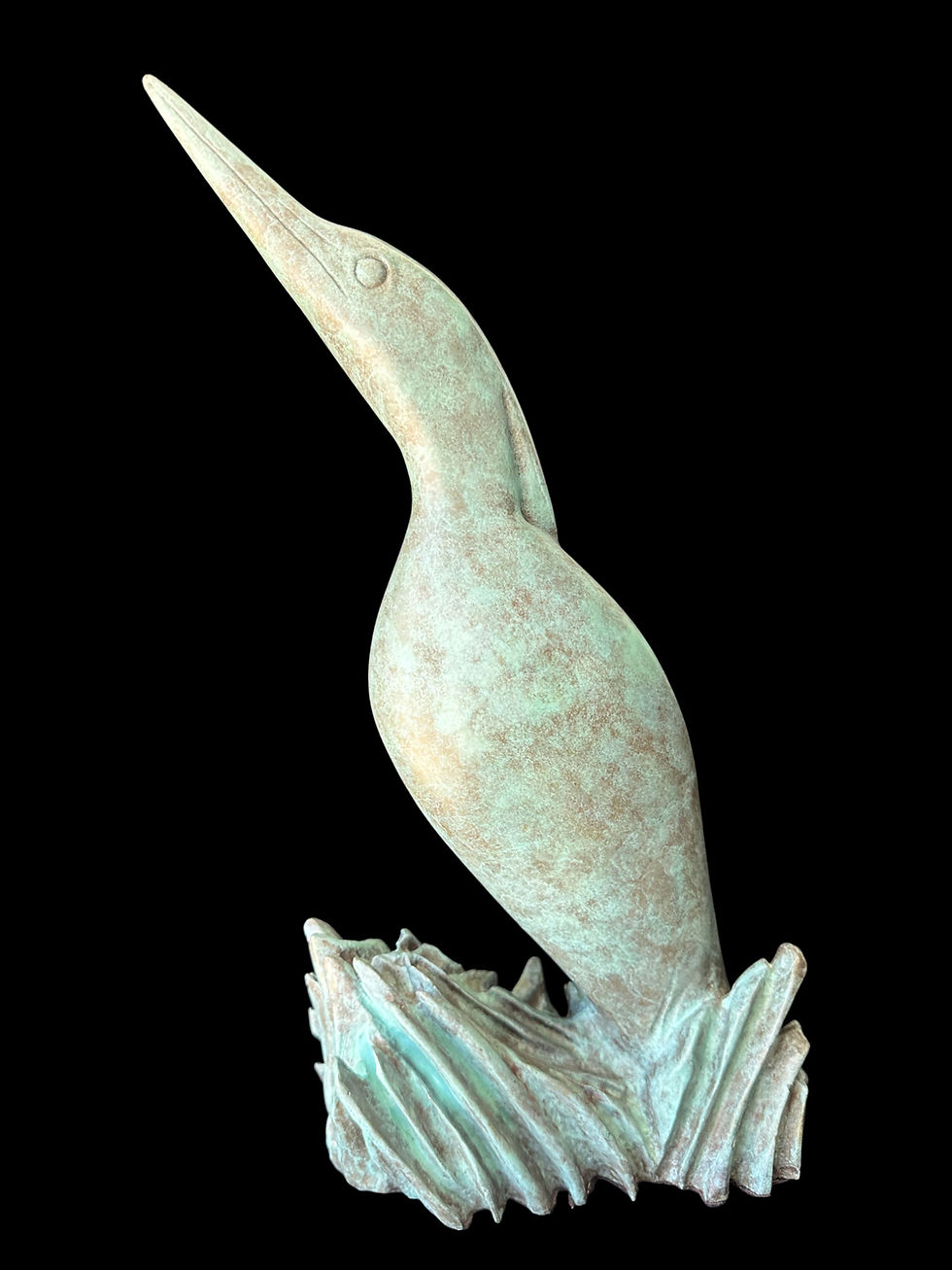 "Night Heron"